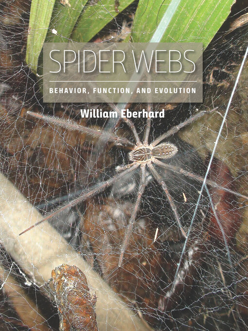 Title details for Spider Webs by William Eberhard - Available